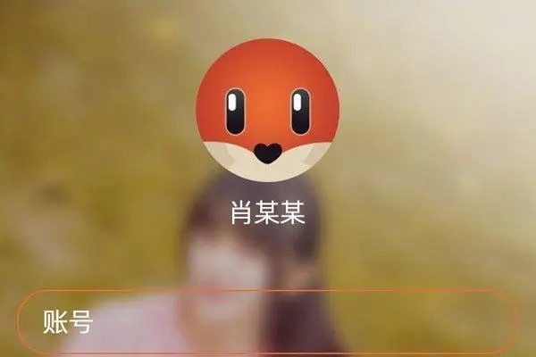 探探上说票亏了什么意思？